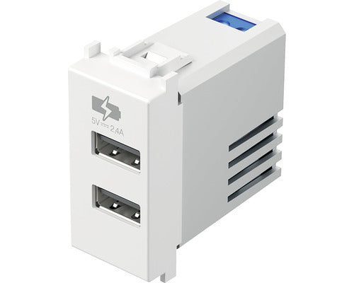 Priza Usb Dubla Tem Max. 2400 Mah, 1 Modul, Alba