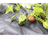 Folie Geotextila Anti-buruieni 50 G/mp Floraself® 25 X 2 M, Neagra