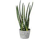 Planta Artificiala Limba Soacrei Sanseveria In Ghiveci H 45 Cm Verde