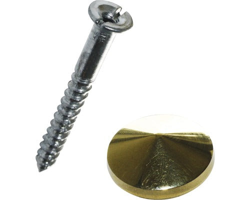 Suruburi Pentru Oglinda Dresselhaus 4, 5x40 Mm Cu Capac De Mascare Din Alama, 4 Bucati