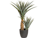 Planta Artificiala Agava In Ghiveci H 80 Cm Verde
