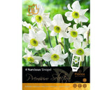 Bulbi Narcise Premium Selection Sinopel 4 Buc