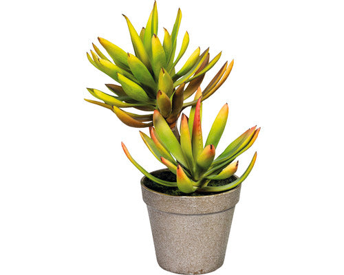 Planta Artificiala Aloe Plicatilis In Ghiveci H 30 Cm Verde