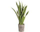 Planta Artificiala Limba Soacrei Sanseveria In Ghiveci H 60 Cm Verde