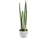 Planta Artificiala Limba Soacrei Sanseveria In Ghiveci H 40 Cm Verde