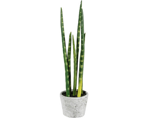 Planta Artificiala Limba Soacrei Sanseveria In Ghiveci H 40 Cm Verde