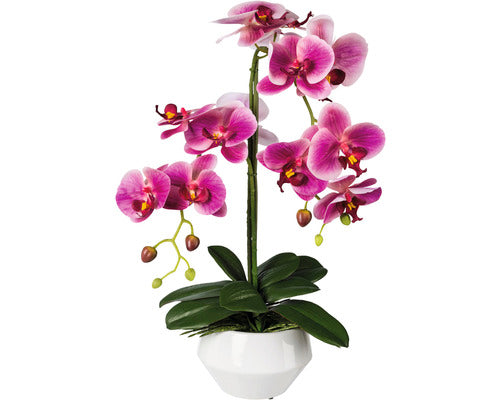 Planta Artificiala Orhidee Fluture Phalaenopsis In Ghiveci H 52 Cm Roz