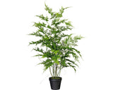 Planta Artificiala Feriga Asparagus Setaceus In Ghiveci H 80 Cm