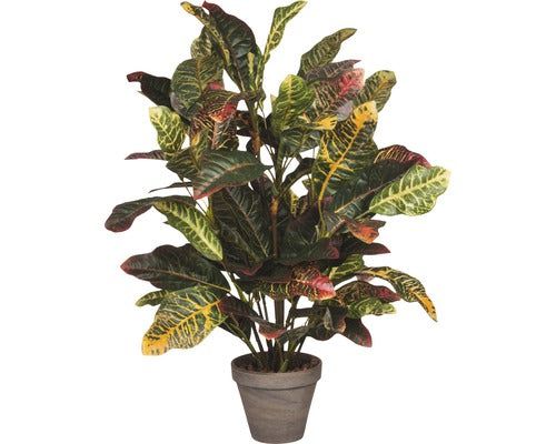 Planta Artificiala, Croton, Gri