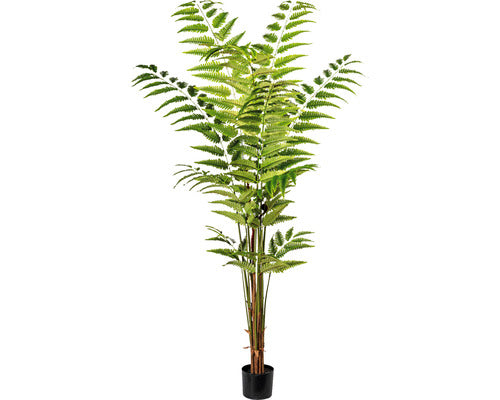 Planta Artificiala Feriga In Ghiveci H 180 Cm Verde