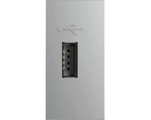 Priza Usb Simpla Livolo Tip A, 1 Modul, Argintiu