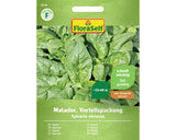 Seminte Legume Floraself Spanac Matador