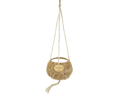 Ghiveci Agatator Kokodama, Cocos, Ø 12 H 7, 5 Cm Maro