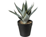 Planta Artificiala Aloe Vera In Ghiveci H 20 Cm Verde