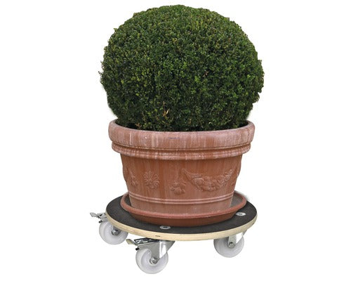 Suport Ghiveci Cu Roti, Mesteacan, Wagner System, Ø 30 Cm, Negru, Capacitate Portanta 200 Kg