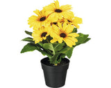 Planta Artificiala Gerbera In Ghiveci H 27 Cm Galben