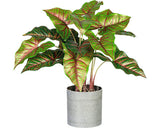 Planta Artificiala Colocasia Esculenta In Ghiveci H 40 Cm Verde