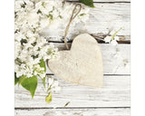 Tablou Sticla White Spring Ii 20x20 Cm