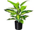 Planta Artificiala Dieffenbachia In Ghiveci H 45 Cm