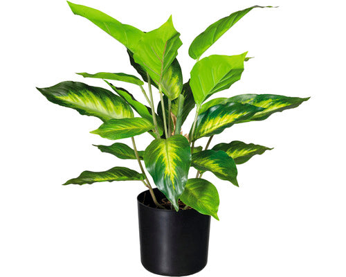 Planta Artificiala Dieffenbachia In Ghiveci H 45 Cm