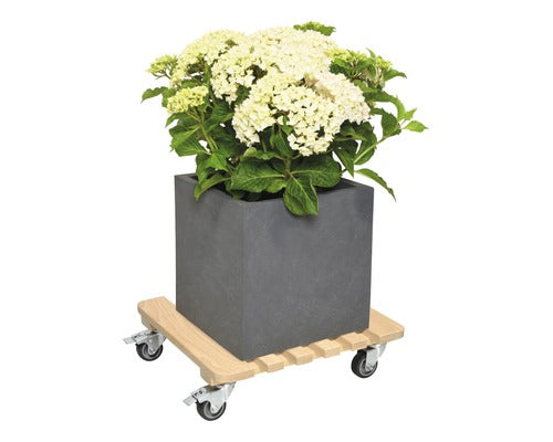 Suport Ghiveci Cu Roti, Fag, Wagner system, 38x38 Cm, Capacitate Portanta 200 Kg