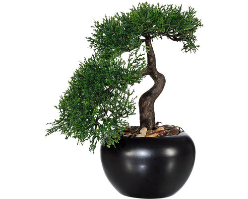 Planta Artificiala Bonsai Zada In Ghiveci H 25 Cm Verde