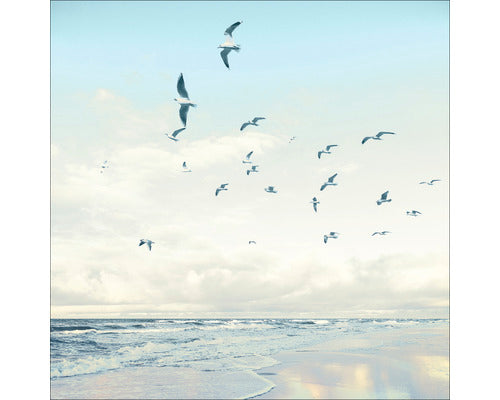 Tablou Sticla Seagulls On The Beach 50x50 Cm