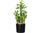 Planta Artificiala Euforbia In Ghiveci H 40 Cm Verde