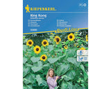 Seminte Flori Kiepenkerl Floarea Soarelui King Kong