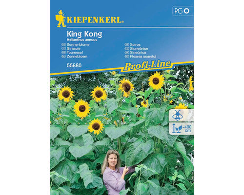 Seminte Flori Kiepenkerl Floarea Soarelui King Kong