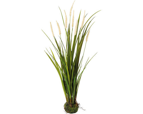 Planta Artificiala Iarba Miscanthus H 75 Cm Crem