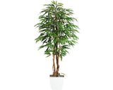 Planta Artificiala Ficus Benjamina In Ghiveci H 150 Cm Verde