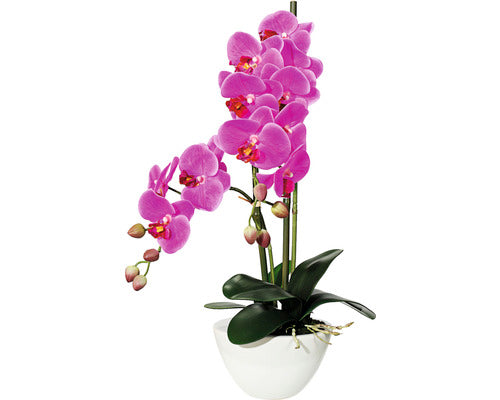 Planta Artificiala Orhidee Fluture Phalaenopsis In Ghiveci H 50 Cm Lila