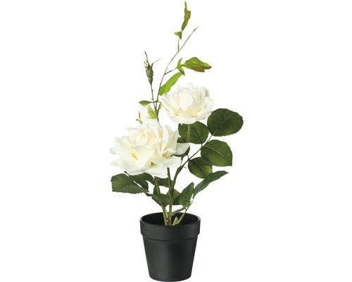 Planta Artificiala Trandafir In Ghiveci H 40 Cm Crem