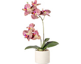 Planta Artificiala Orhidee Fluture Phalaenopsis In Vas H 45 Cm Roz