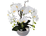 Planta Artificiala Orhidee Fluture Phalaenopsis In Ghiveci I 55 Cm Alb