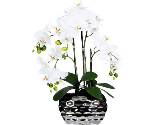 Planta Artificiala Orhidee Fluture Phalaenopsis In Vas Oval 4 Ramuri H 55 Cm Alb