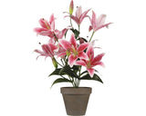 Planta Artificiala Crin Tiger Ø 13, 5 Cm H 47 Cm Fuchsia