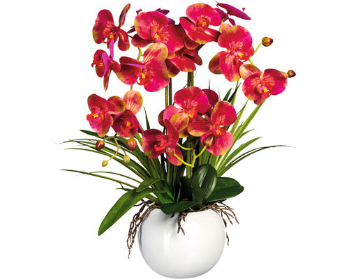 Planta Artificiala Orhidee Fluture Phalaenopsis In Vas Ceramic H 58 Cm Roz