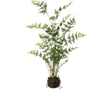 Planta Artificiala Feriga Balot H 79 Cm Verde