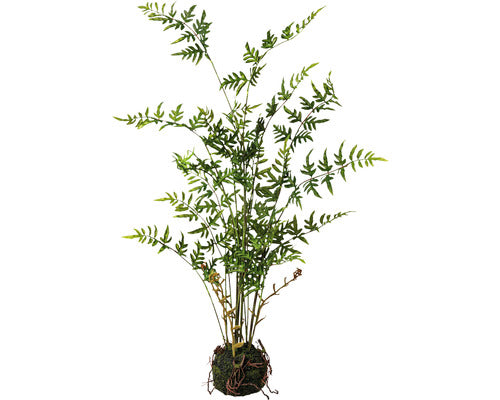 Planta Artificiala Feriga Balot H 79 Cm Verde