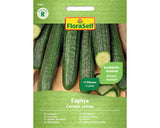 Seminte Legume Floraself Castraveti De Salata Euphaya F1