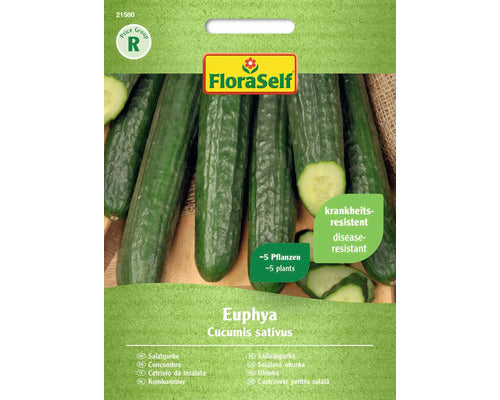 Seminte Legume Floraself Castraveti De Salata Euphaya F1
