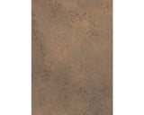 Blat Bucatarie Pal Steel 4100x600x38 Mm