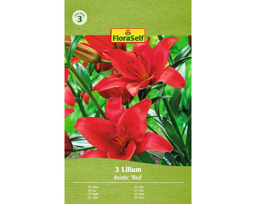 Bulbi De Crini Asiatici Floraself Rosu 16/18 3 Buc