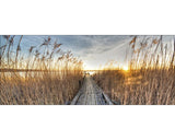 Tablou Sticla Way To The Sun 30x80 Cm