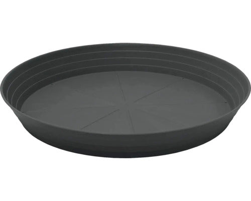 Farfurie Primavera Ø 46 Cm Antracit