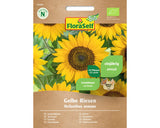 Seminte Flori Floraself Bio De Floarea Soarelui, 150 gr