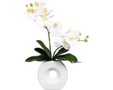 Planta Artificiala Orhidee Fluture Phalaenopsis In Vas Ceramic H 35 Cm Alb