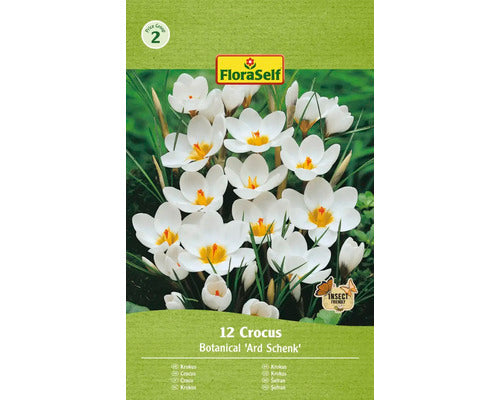 Bulbi De Flori Floraself Branduse Ard Schenk 5/7 12 Buc
